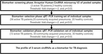 A Panel of CircRNAs in the Serum Serves as Biomarkers for Mycobacterium tuberculosis Infection